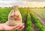 Sai a 1ª renegociação de crédito rural no RS, mas novas contratações podem travar; entenda 