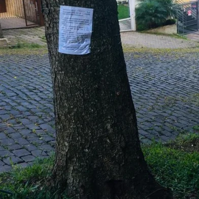 O suposto envenenamento de uma árvore localizada no bairro Panazzolo, em Caxias do Sul, resultou em uma situação inusitada. Moradores que detectaram marcas no tronco do ipê, que fica na Rua Luiz Antunes, próximo à esquina com a Rua Tereza Pezzi, afixaram um cartaz na planta, com um recado para o possível envenenador.<!-- NICAID(14714870) -->