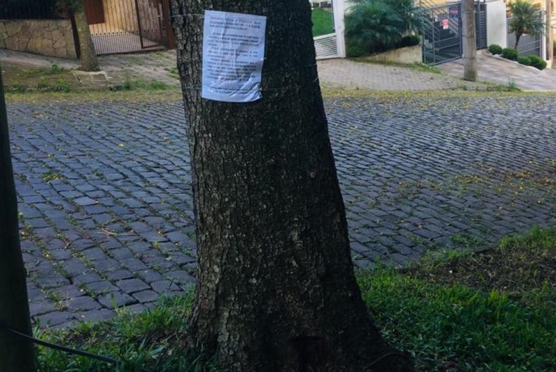 O suposto envenenamento de uma árvore localizada no bairro Panazzolo, em Caxias do Sul, resultou em uma situação inusitada. Moradores que detectaram marcas no tronco do ipê, que fica na Rua Luiz Antunes, próximo à esquina com a Rua Tereza Pezzi, afixaram um cartaz na planta, com um recado para o possível envenenador.<!-- NICAID(14714870) -->