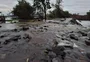 VÍDEO: dique da Fiergs, no bairro Sarandi, volta a extravasar