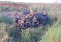 Acidente entre carro e caminhão deixa um morto no noroeste do RS