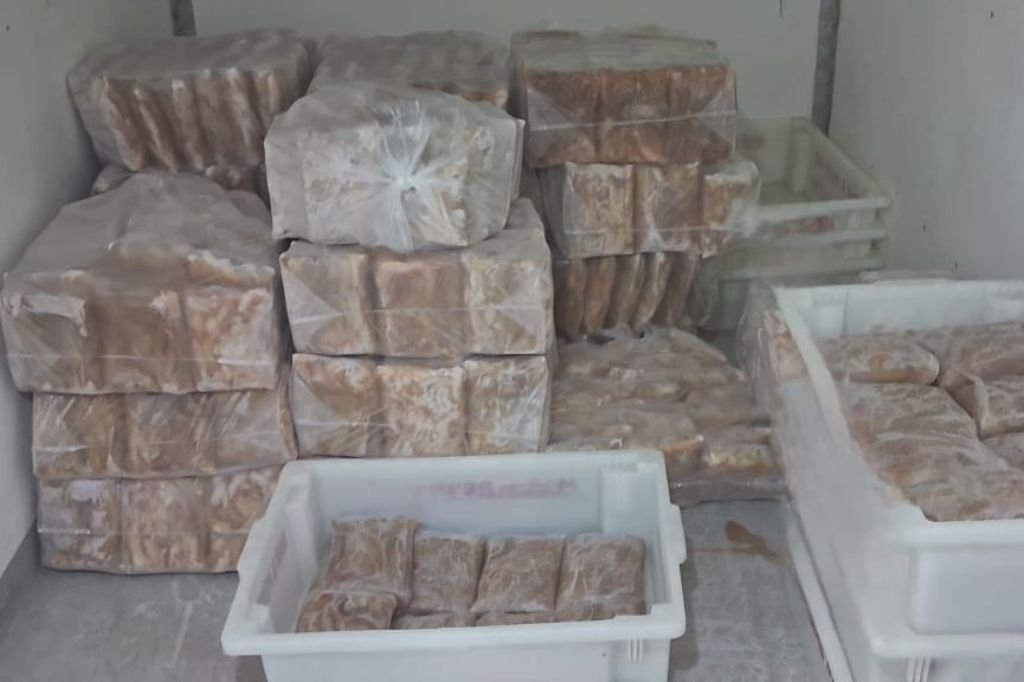 Homem &eacute; preso em Rio Grande com 700 quilos de pescado ilegal na BR-392