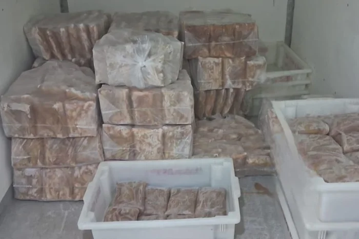 Divulgação / Patram