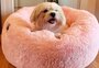 Confira uma seleção de produtos que entregam proteção e estilo aos pets