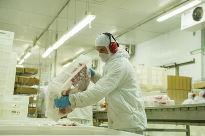 frango, avicultura, exportação, embarque<!-- NICAID(14985008) -->