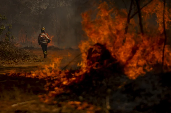 Marcelo Camargo / Agência Brasil