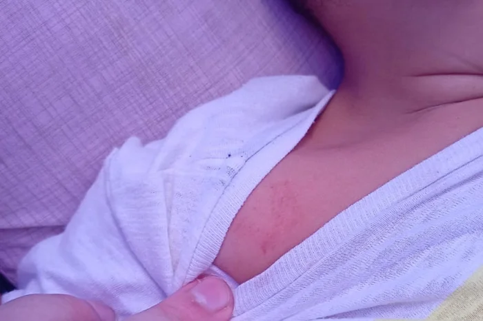 Arquivo pessoal / Reprodução