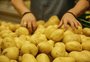 Batata sobe 30,43% em janeiro, puxando alta da cesta básica em Porto Alegre