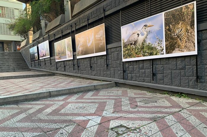 Exposição com obras de arte no muro do prédio Don Felipe