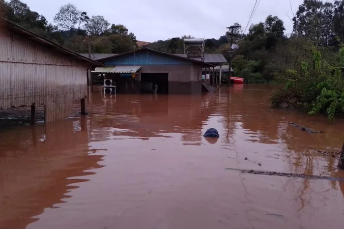 Marines Trevisan / Arquivo Pessoal