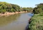 Prefeitura de Campo Bom diz que calor e falta de chuva causaram mortes de peixes no Rio dos Sinos