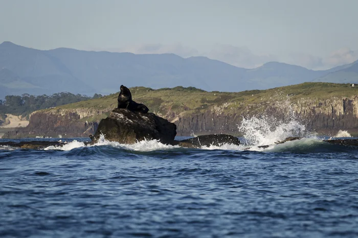 Mateus Bruxel / Agencia RBS