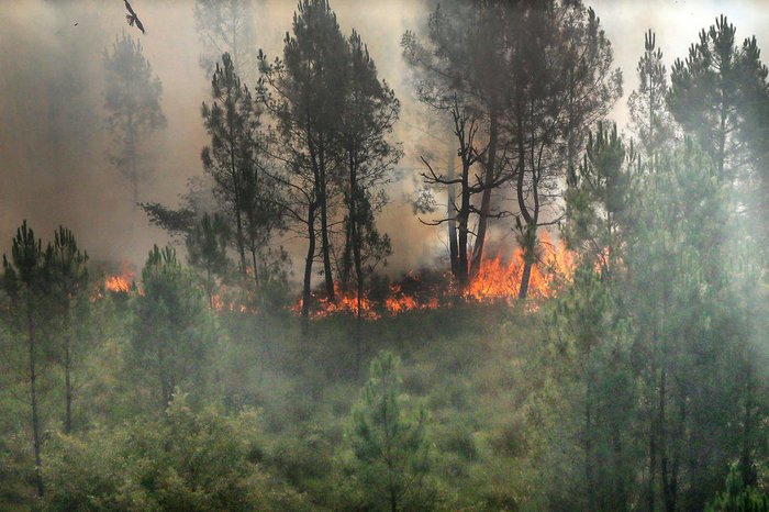 Laurent THEILLET / POOL / AFP Laurent THEILLET / POOL / AFP