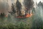 A wildfire burns through vegetation in Landiras, southwestern France, on July 13, 2022. - Two fires have burned nearly 1,700 hectares of pine trees in Gironde on July 13, forcing the evacuation of 6,000 campers. A heat wave in Western Europe is fuelling wildfires across vast stretches of forestland. (Photo by Laurent THEILLET / various sources / AFP)Editoria: DISLocal: LandirasIndexador: LAURENT THEILLETSecao: fireFonte: AFPFotógrafo: STR<!-- NICAID(15147626) -->