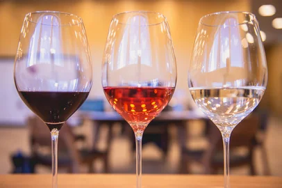 Primeiro concurso brasileiro do suco de uva<!-- NICAID(16263435) -->