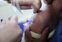 Campanha de vacinação contra o sarampo e a gripe serão simultâneas neste ano; veja calendário