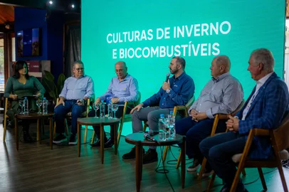 Campo em debate - biocombustiveis e culturas de inverno<!-- NICAID(16114625) -->