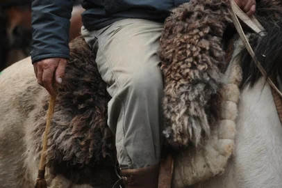 CAXIAS DO SUL, RS, BRASIL (20/09/2021)cavalgada alusiva ao 20 de Setembro pela Rua Julio de Castilhos. (Antonio Valiente/Agência RBS)<!-- NICAID(14893817) -->