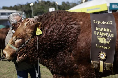 Esteio, RS, Brasil, 26-08-2024: O touro Hudson é o animal mais pesado da Expointer pelo segundo ano consecutivo e foi escolhido grande campeão Limousin da feira 2024. Foto: Mateus Bruxel / Agência RBSNa imagem, Edgar Lima, o Cacaio, proprietário da Fazenda Boa Esperança, abraça o touro Hudson após o reconhecimentoIndexador: MATEUS BRUXEL<!-- NICAID(15850480) -->