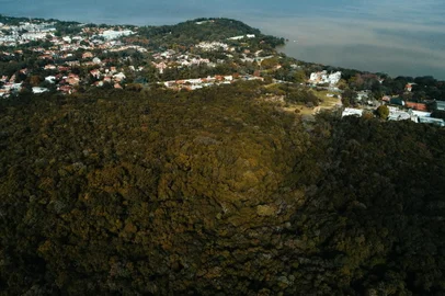 PORTO ALEGRE, RS, BRASIL - 04.06.2021 - Fotos da Mata Atlântica no Parque Morro do Osso, na Zona Sul de Porto Alegre. (Foto: Félix Zucco/Agencia RBS)<!-- NICAID(14801321) -->