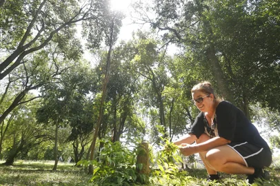 Porto Alegre, RS, Brasil, 21/03/2023 - Prefeitos de praças em POA.  Praça Flávio Veiga Miranda. Na foto, a prefeita Ana Rosarea Rebelo Dutra - Foto: Lauro Alves/Agência RBS<!-- NICAID(15381233) -->