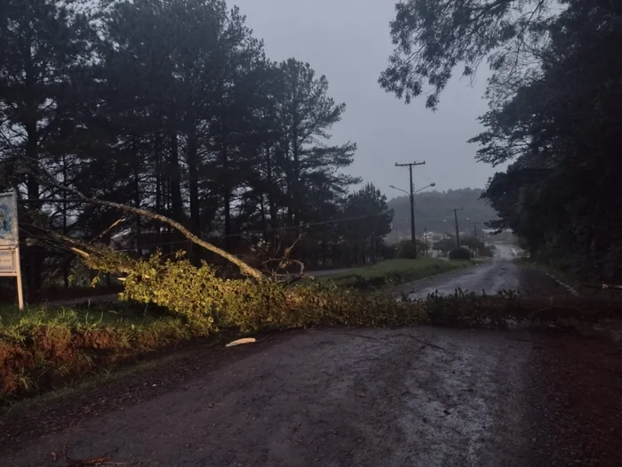 André Fiedler / agência RBS André Fiedler / agência RBS