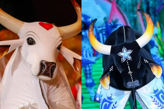 Governo do Amazonas / Divulgação Governo do Amazonas / Divulgação