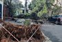 Árvore tomba em cima de carro em rua do bairro Bom Fim, em Porto Alegre