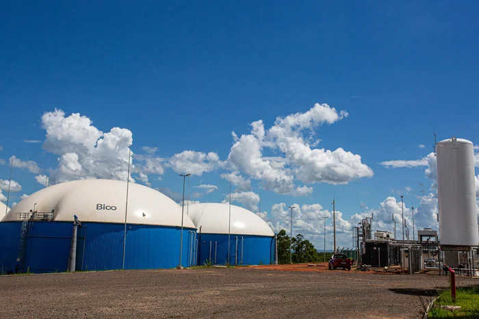 Carlos Macedo / Divulgação