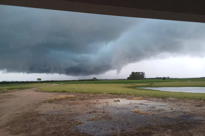 Maria Suzeti Angeloni Casteller / Imagens cedidas