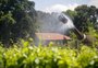 Marca de vinhos de mesa mais vendida no Brasil é também a que mais conquistou prêmios em concurso francês 