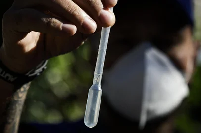 Porto Alegre, RS, Brasil, 30-04-2025: Larvas de mosquito encontradas em piscina durante ação de combate à dengue com pulverização de inseticida no bairro Camaquã, na zona sul de Porto Alegre, promovida pela Secretaria Municipal de Saúde com o apoio do exército. Foto: Mateus Bruxel / Agência RBSIndexador: MATEUS BRUXEL<!-- NICAID(16027364) -->