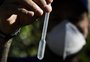 RS chega a 24 mortes por dengue, mas indicadores apontam tendência de queda nos casos