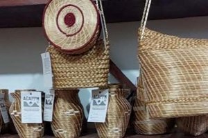 Kênia Fialho / Arquivo Pessoal