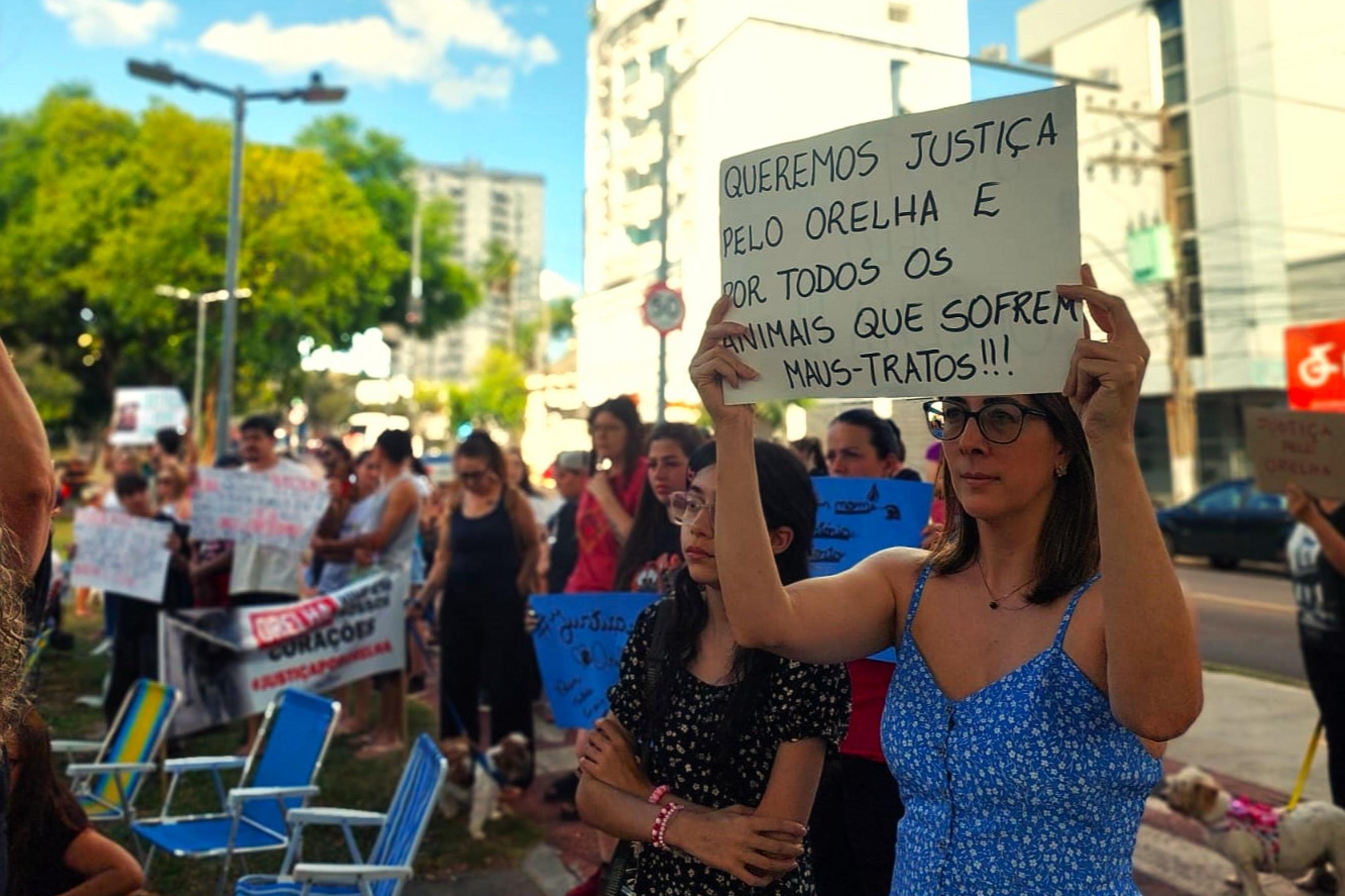 Manifesta&ccedil;&atilde;o em Passo Fundo pede justi&ccedil;a pela morte do c&atilde;o Orelha