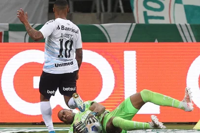 O goleiro Jailson, da SE Palmeiras, em jogo contra a equipe do GrÃªmio FBPA, durante partida vÃ¡lida pela dÃ©cima rodada, do Campeonato Brasileiro, SÃ©rie A, na arena Allianz Parque. (Foto: Cesar Greco)Indexador: Cesar Greco<!-- NICAID(14828556) -->