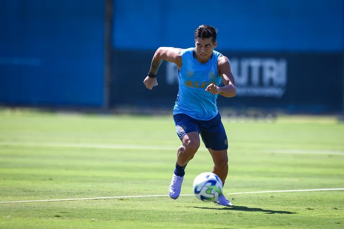 Lucas Uebel / Divulgação Grêmio