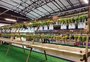 Começa montagem da Exposição de Uvas no Centro de Eventos em Caxias 