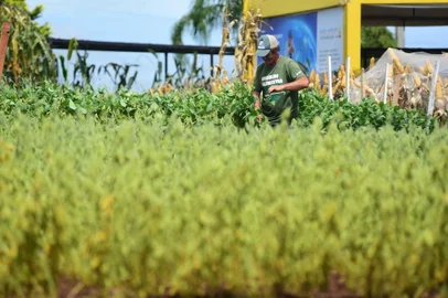 Não-Me-Toque, RS, Brasil, 29/02/2024 - Preparação para a feira de agronegócios Expodireto na cidade de Não-Me-Toque. Expositores estão na reta final da finalização dos estandes para a feira que começa na próxima segunda dia 04. Fotos: Diogo Zanatta/Especial<!-- NICAID(15693269) -->