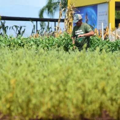 Não-Me-Toque, RS, Brasil, 29/02/2024 - Preparação para a feira de agronegócios Expodireto na cidade de Não-Me-Toque. Expositores estão na reta final da finalização dos estandes para a feira que começa na próxima segunda dia 04. Fotos: Diogo Zanatta/Especial<!-- NICAID(15693269) -->
