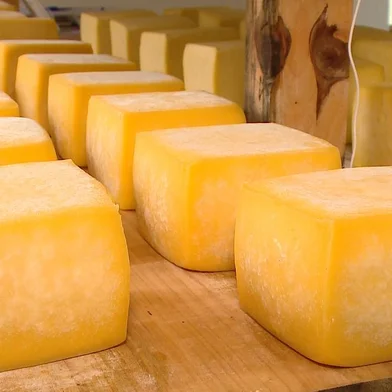 produção de queijo serrano em Bom Jesus<!-- NICAID(15219910) -->
