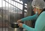 Projeto oferece alimentação e entrega doações a famílias desempregadas em Porto Alegre