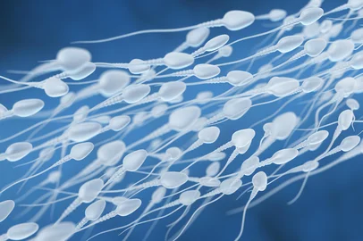 Human sperm flow*A PEDIDO GABRIELA PERUFO* 3D illustration of sperm going for the egg - Foto: Tatiana Shepeleva/stock.adobe.comFonte: 181482062<!-- NICAID(15210720) -->