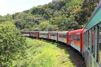 Considerada uma das viagens de trem mais bonitas do mundo, a ferrovia entre Curitiba e Morretes cruza a Serra do Mar, passando por pontes, túneis e paisagens da Mata Atlântica. <!-- NICAID(16096635) -->