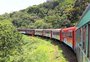 10 viagens de trem para fazer pelo Brasil; veja percursos e preços