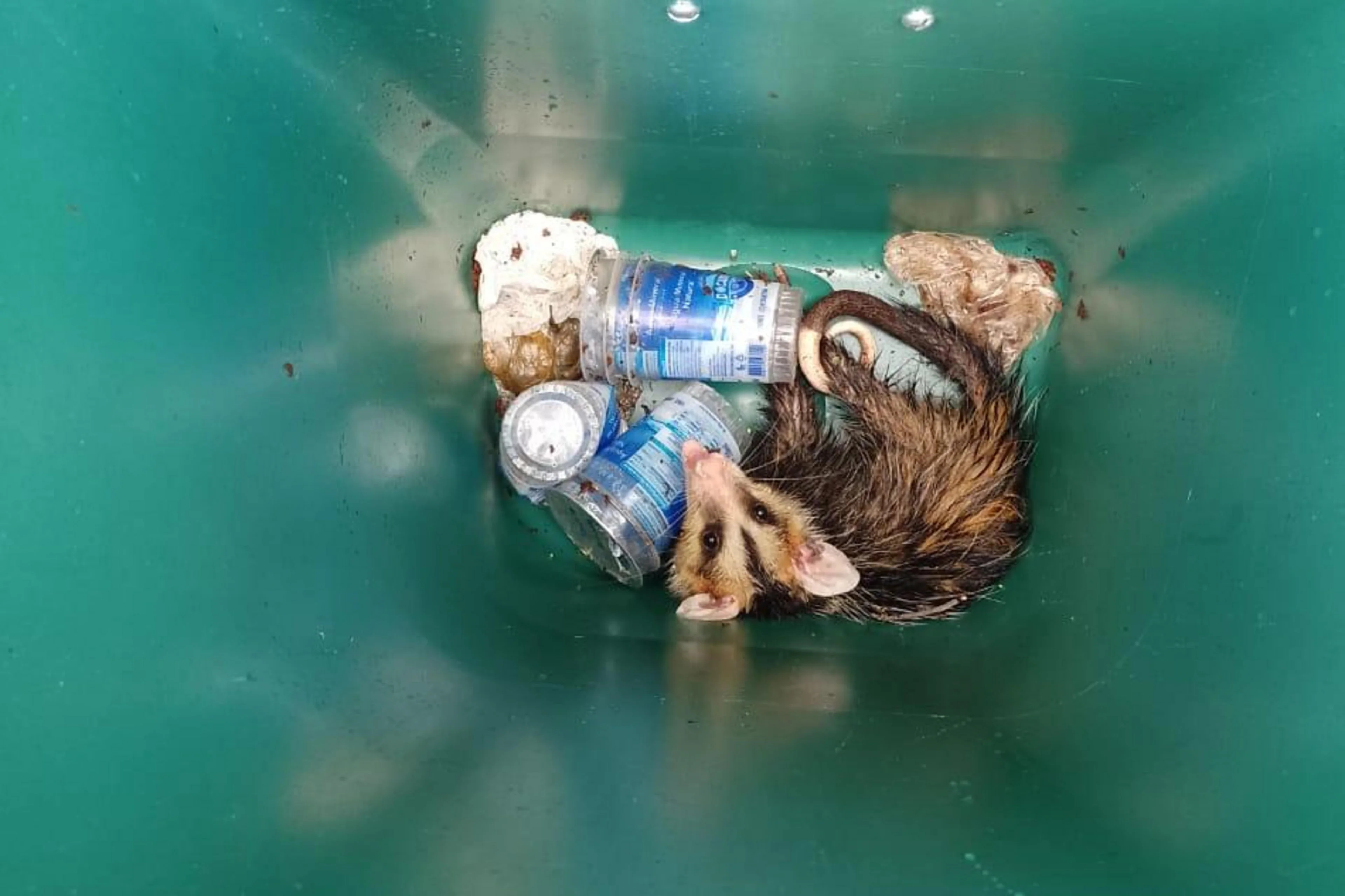 Hilton Silva do Nascimento/Arquivo pessoal