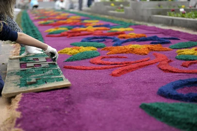 A região prepara seus tapetes coloridos para receber a celebração de Corpus Christi nesta quinta-feira.Na foto Flores da Cunha.Indexador:                                 <!-- NICAID(7216624) -->