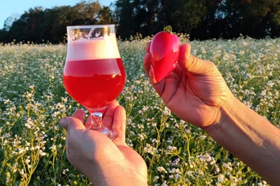 Chope do amor será lançado na Expointer<!-- NICAID(16099783) -->