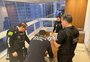 Preso em Goiânia jovem suspeito de liderar esquema que criava sites falsos sobre doações para as vítimas da enchente no RS
