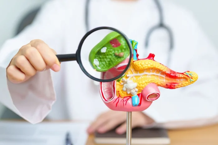 Jo Panuwat D / Shutterstock | Portal EdiCase